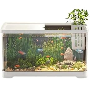 ま*こ様 1500×600×450水槽 ま*こ様 1500×600×450水槽